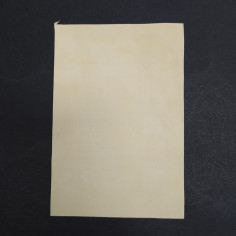 Cartolina con autografo di Mina. Si nota un leggero ingrigimento 2