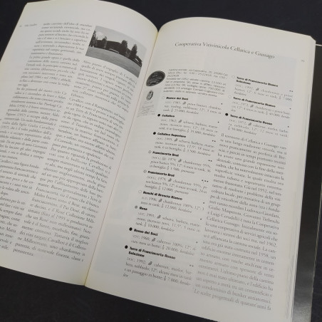 Volume Franciacorta- Storie di vigne, di vini e di uomini, Francesco Arrigoni'97