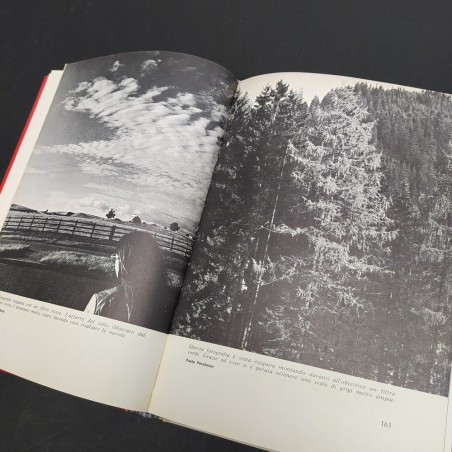 Volume Manuale Nikon, Giulio Forti, Effe editore, 1974. Fioritura della carta