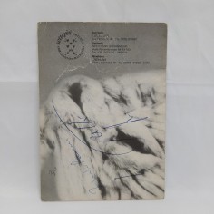 Cartolina del gruppo I Trettrè con sbiaditure e pieghe vistose, 17x12 cm 2