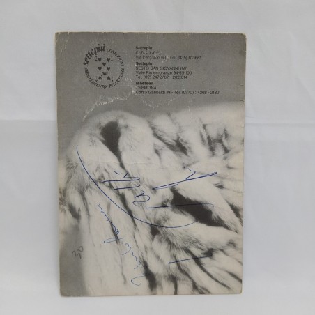 Cartolina del gruppo I Trettrè con sbiaditure e pieghe vistose, 17x12 cm
