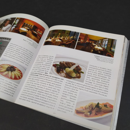 Guida Gastronomica Audi edizione 2009-10, Giovanni Bravi. Buone condizioni