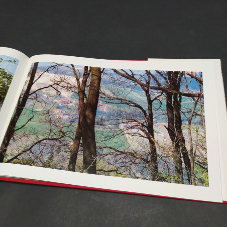 Libro Invito a Bologna, Franco Fontana e Athos Vianelli 1989 in cofanetto. Buono