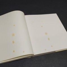 Libro Bologna Il volto della città, Pier Luigi Cervellati e Franco Fontana '75 2
