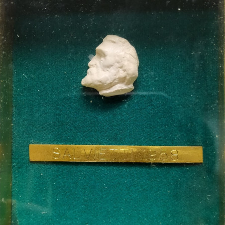 Quadretto con testa scolpita di Giuseppe Verdi e targa Salvietti 1958. Buono