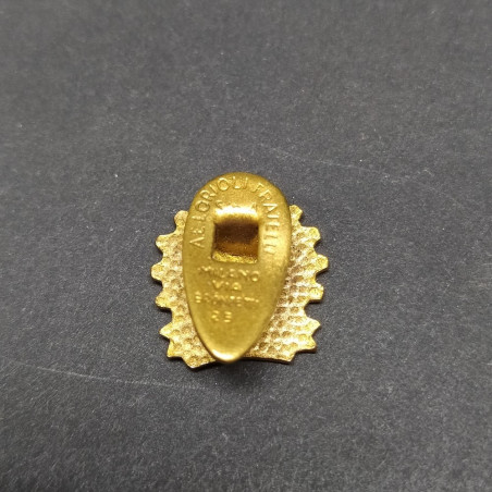 Spillino per giacca Vespa Club d'Italia smaltato 15 mm, metallo scurito