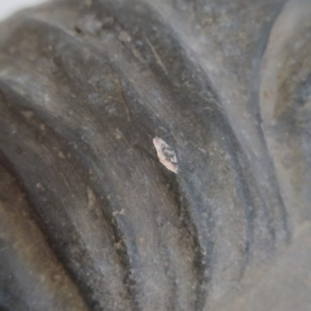 Busto di Palmiro Togliatti in bronzo alto 21 cm con fori per il fissaggio