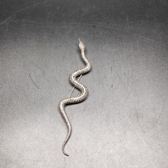 Spilla serpente Art Nuveau in argento 925 con marcasite