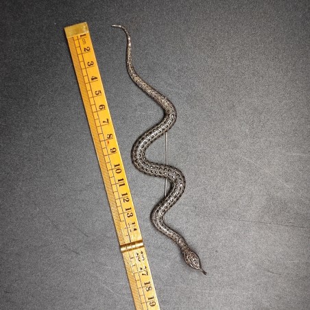 Spilla serpente Art Nuveau in argento 925 con marcasite