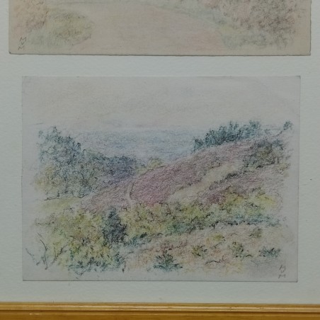 2 dipinti dell'artista Mario Vellani Marchi 18x12,5 cm incorniciati insieme