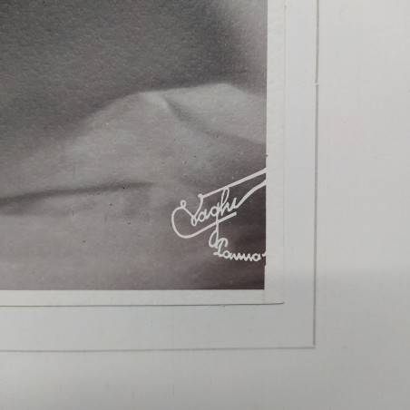 Foto ritratto di donna non identificata, studio fotografico L. Vaghi Parma