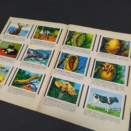 Album di figurine Conosciamo Il mondo, Mondo Flash completato, 1981