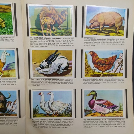 Album di figurine Conosciamo Il mondo, Mondo Flash completato, 1981