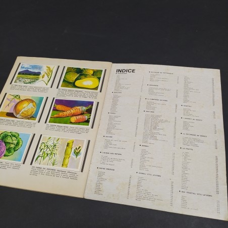 Album di figurine Conosciamo Il mondo, Mondo Flash completato, 1981