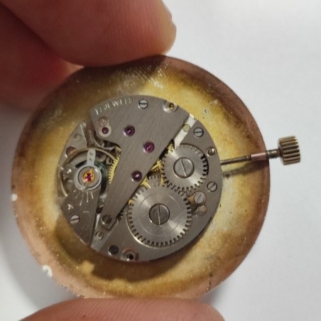 Orologio da taschino Tanivann cassa placcata oro