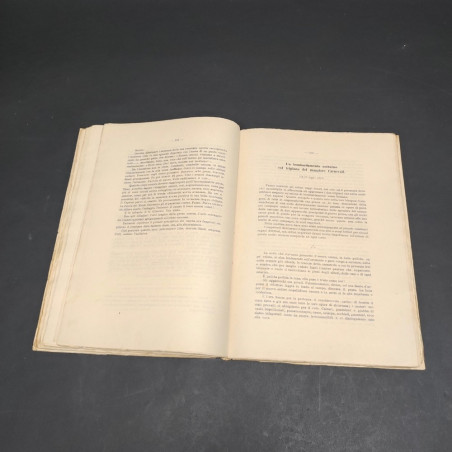 Volume Ex-alto ad signum - Aneddoti di bombardamenti aerei 1915-18, Armani '25