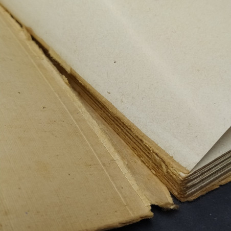 Volume Sonetti fascisti con dipinti e dedica dell'autore A. M. Gianella, 1935