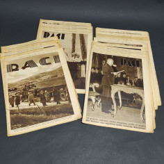 Lotto di 19 riviste Raci dell'anno 1934, di cui una in due copie. Ingiallimenti