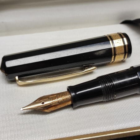 Penna stilografica Omas Extra Dama/555 con astuccio e libretti - usata