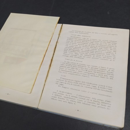Istruzioni per l'uso degli autocarri IF tipo D.80 MO, 1938. Scollato in parte