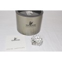 Cristallo Swarovski riccio medio con baffi 7630/040/000 30 aculei