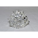 Cristallo Swarovski riccio medio con baffi 7630/040/000 30 aculei