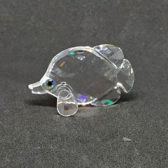 Cristallo Swarovski BUTTERFLY FISH - PESCE FARFALLA Art. 670 819 / 7644 000 015
