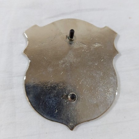 Placca automobilistica GIANNINI eccellente