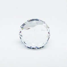 Cristallo Swarovski fermacarte paperweight JUDO WATTENS 60 mm 2