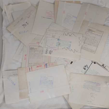 Lotto di 20 fotografie di agenzia, attori e attrici anni 80 formato 17x24 cm