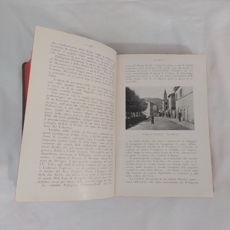 Eugenio Massa PARMA: CITTA' E PROVINCIA 1913