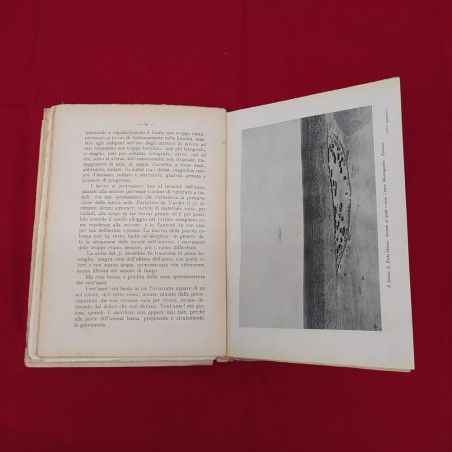ALA INFRANTA Enrico Parrini libro Arte Grafica Fiorentina 1937