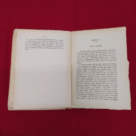ALA INFRANTA Enrico Parrini libro Arte Grafica Fiorentina 1937
