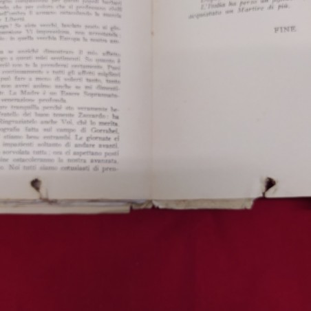 ALA INFRANTA Enrico Parrini libro Arte Grafica Fiorentina 1937