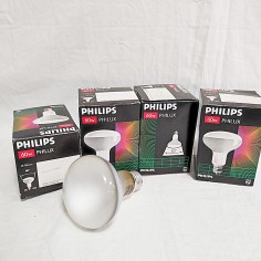 4x Philips Philux lampada fotografica 60 w E27 usate 2