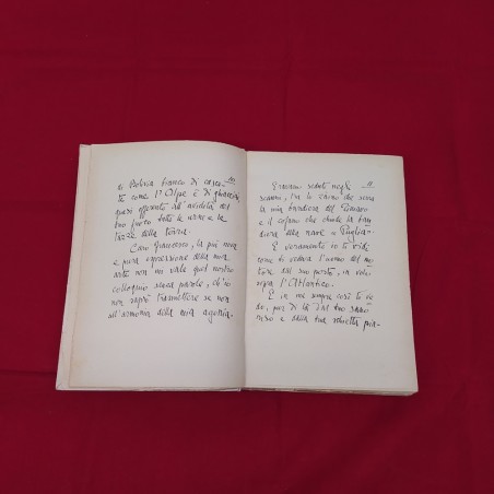 Libro IL MIO VOLO Francesco Pinedo - Hoepli editore 1928