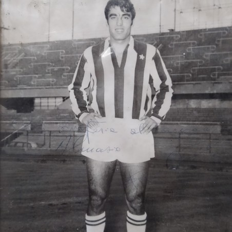 Lotto di 7 fotografie o cartoline giocatori Juventus autografate