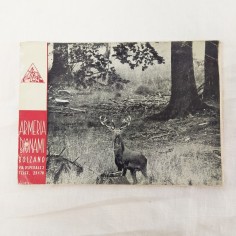 Armeria Bignami Bolzano catalogo listino prezzi vari produttori