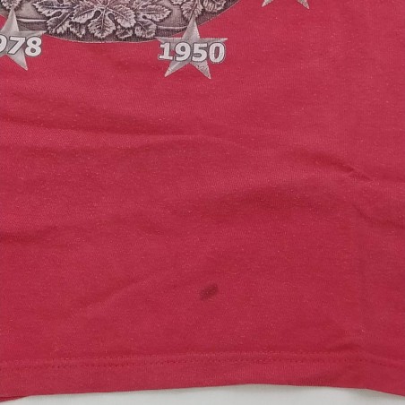 Maglietta squadra calcio Wisla Krakow campione di Polonia 2004